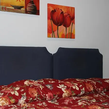 Πανσιόν Salandra Ρώμη